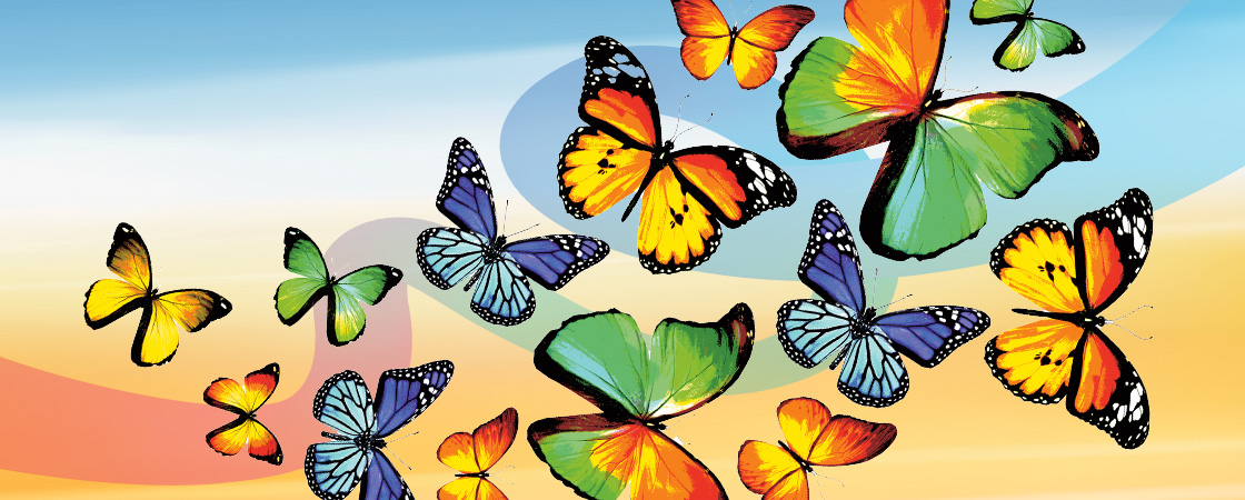 Image of a group of butterflies flying